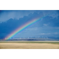 Sun 3 May @ 2pm | LAKE GEORGE WITH TIM THE YOWIE MAN