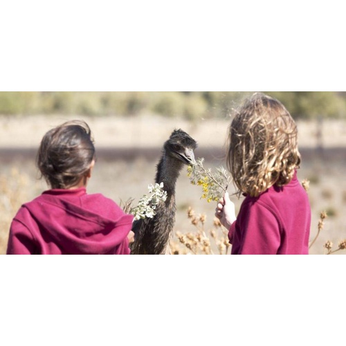 Sat 30 May @ 2pm | EMU RUNNER