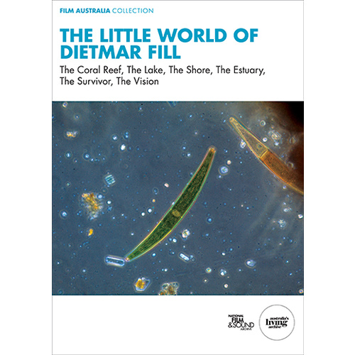 Little World of Dietmar Fill, The