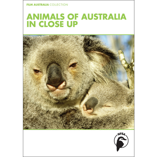 Animals of Australia in Close Up